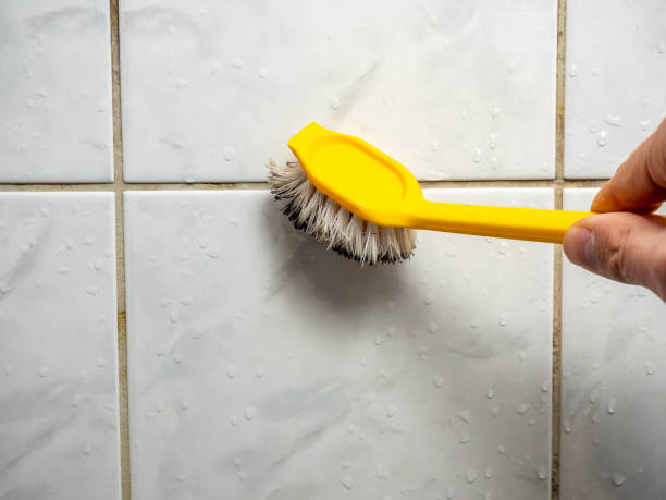 Best Commercial Mold Removal  in Hayfield, VA