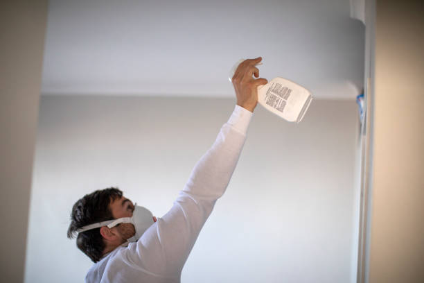 Best Residential Mold Removal  in Hayfield, VA