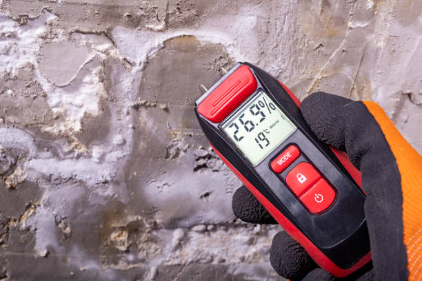 Office Mold Removal Services in Hayfield, VA