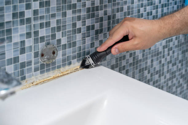 Best Toxic Mold Removal  in Hayfield, VA