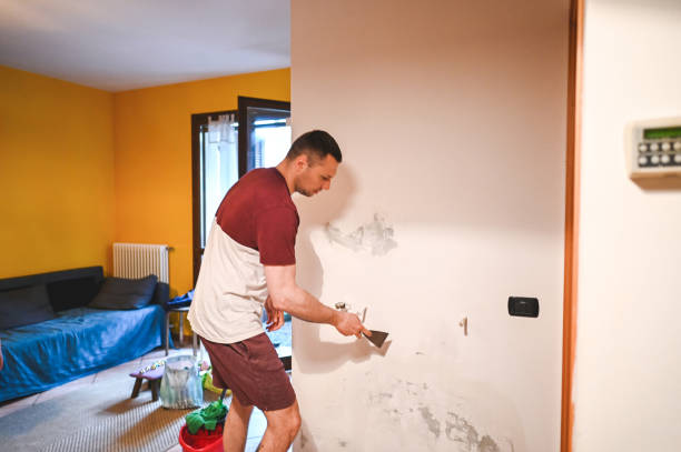 Best Crawl Space Mold Removal  in Hayfield, VA